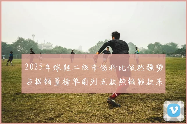 2025年球鞋二级市场科比依然强势占据销量榜单前列五款热销鞋款来自科比系列