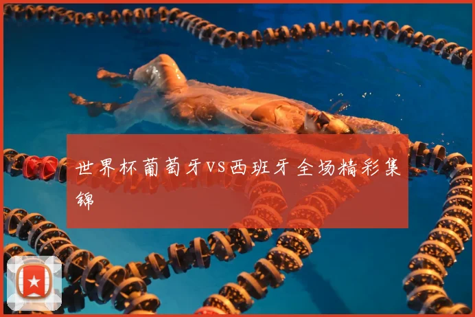 世界杯葡萄牙vs西班牙全场精彩集锦