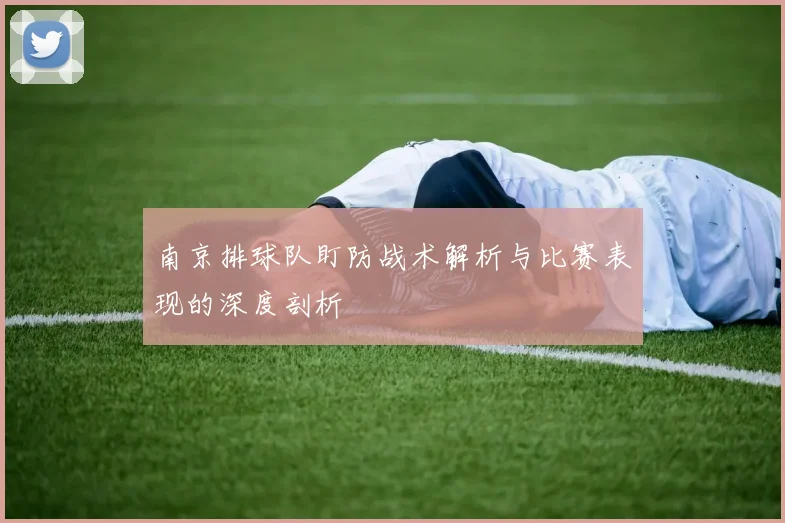 南京排球队盯防战术解析与比赛表现的深度剖析