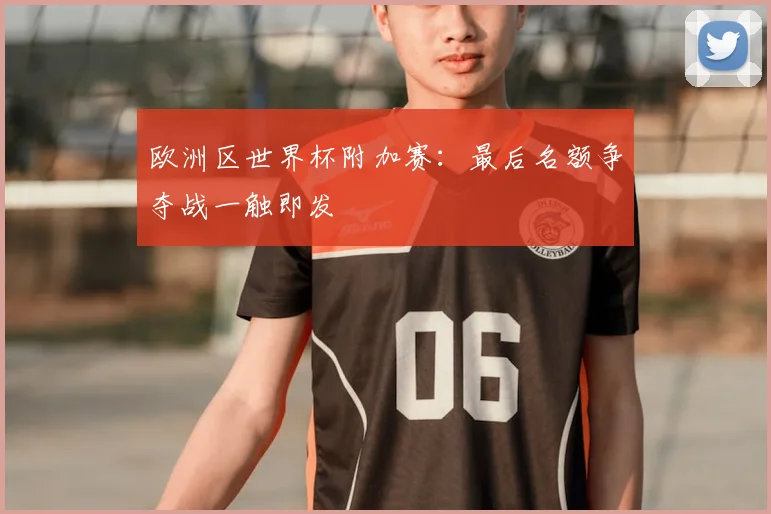 欧洲区世界杯附加赛：最后名额争夺战一触即发