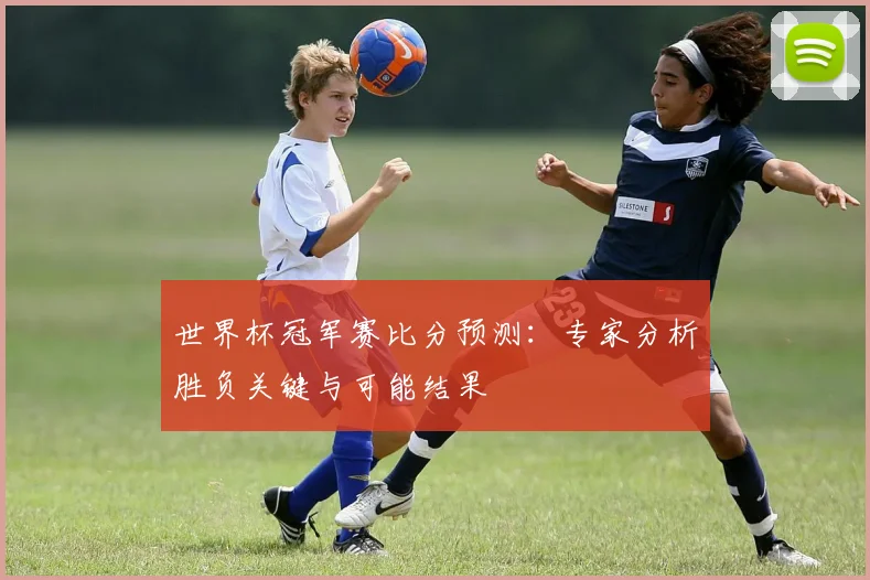 世界杯冠军赛比分预测：专家分析胜负关键与可能结果