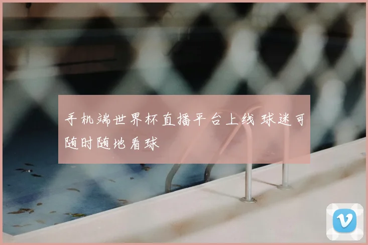 手机端世界杯直播平台上线 球迷可随时随地看球