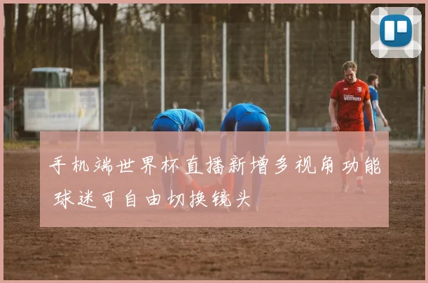 手机端世界杯直播新增多视角功能 球迷可自由切换镜头