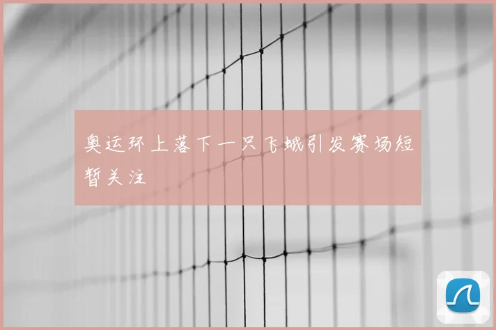 奥运环上落下一只飞蛾引发赛场短暂关注