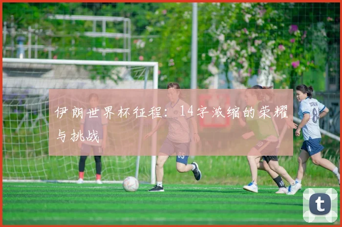 伊朗世界杯征程：14字浓缩的荣耀与挑战