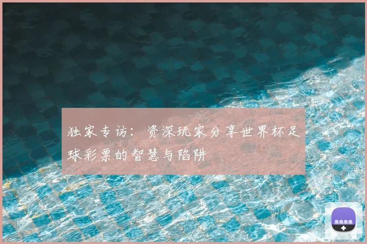 独家专访：资深玩家分享世界杯足球彩票的智慧与陷阱
