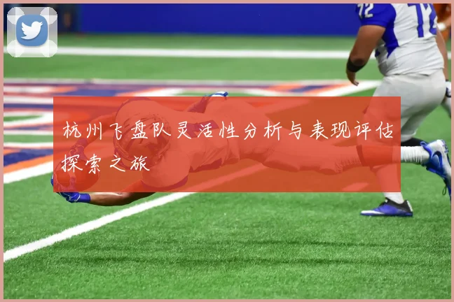 杭州飞盘队灵活性分析与表现评估探索之旅