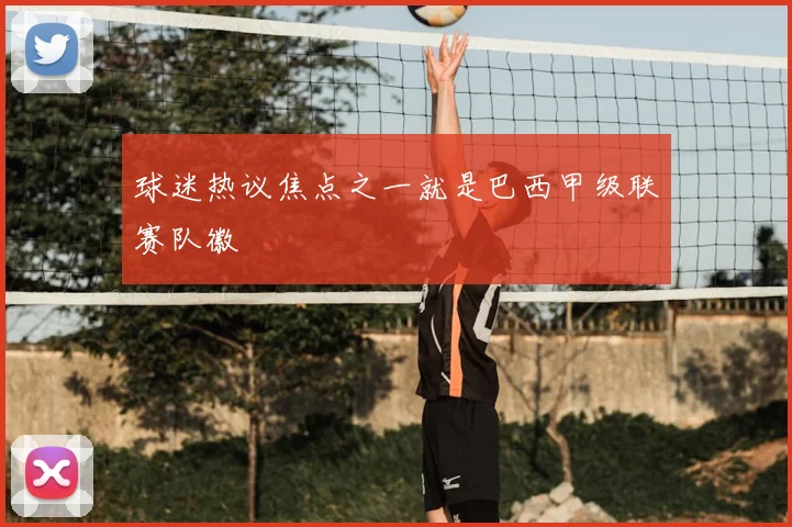 球迷热议焦点之一就是巴西甲级联赛队徽