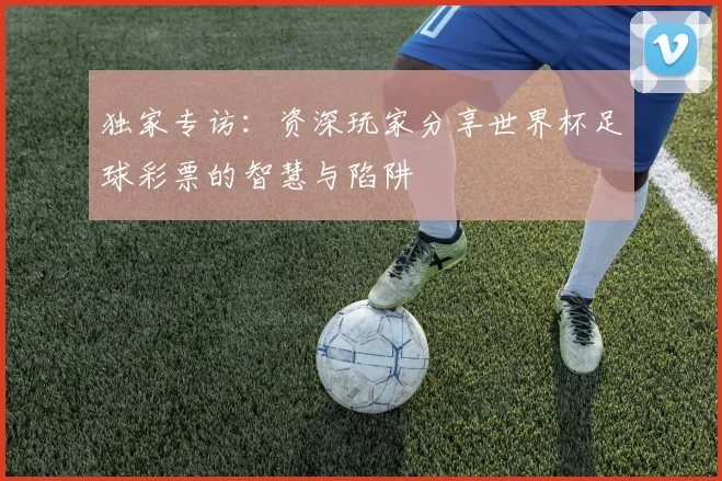 独家专访：资深玩家分享世界杯足球彩票的智慧与陷阱