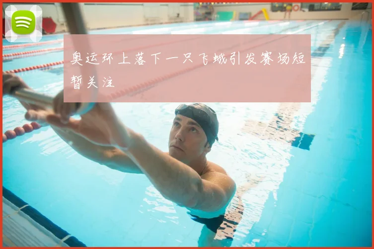 奥运环上落下一只飞蛾引发赛场短暂关注
